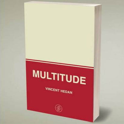 Multitude Vincent Hedan Livre de Magie